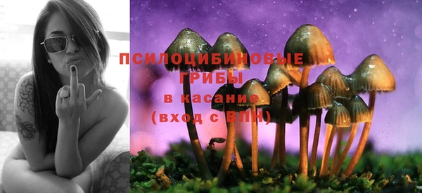 ГАЛЛЮЦИНОГЕННЫЕ ГРИБЫ Дмитров
